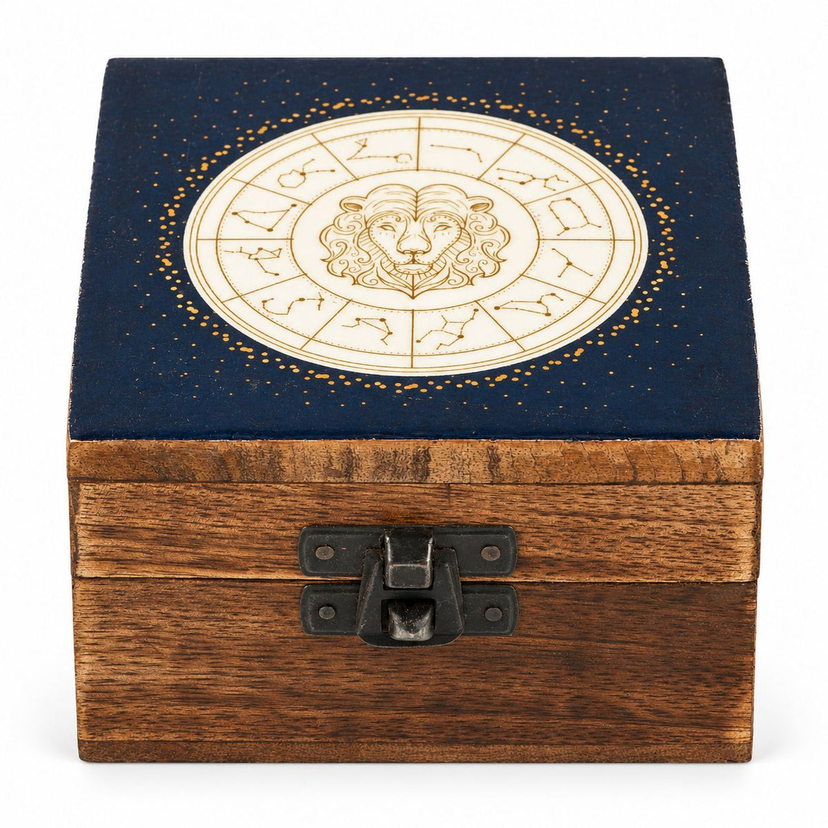 Small Enamelled Box - Leo