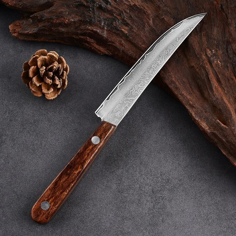 Forged Damascus Steel Steak Set Blade Sharp Peeling Fruit Knife Smooth Solid WoodHandhandle Boning Knife