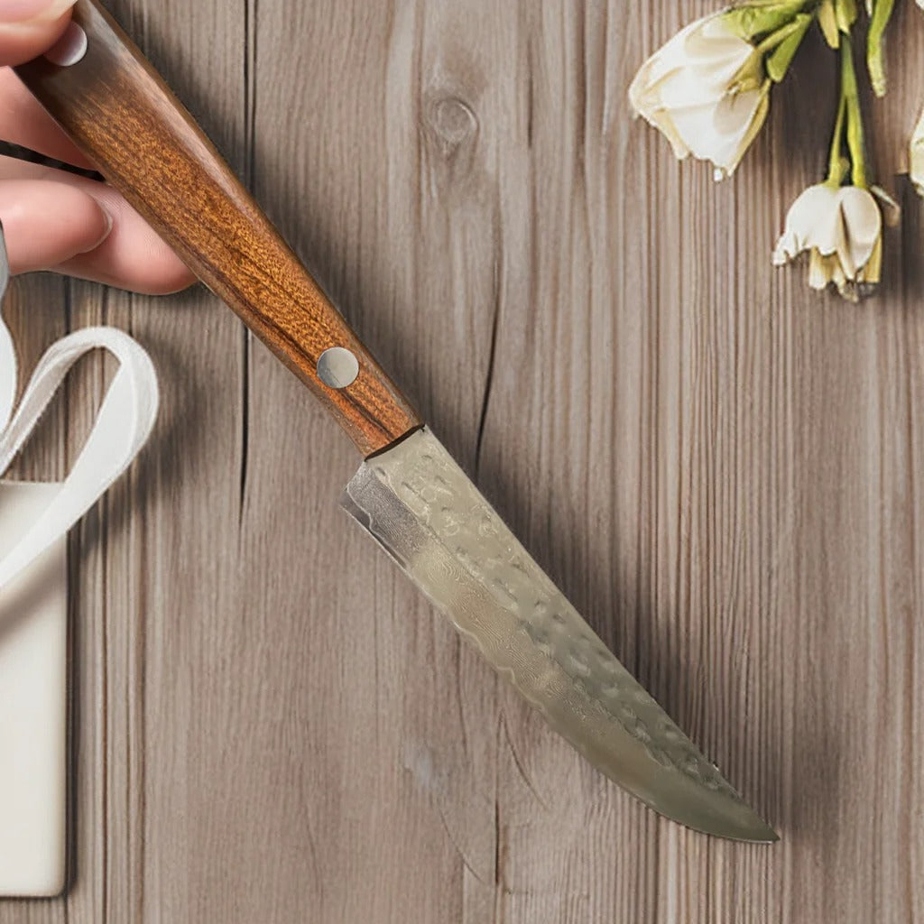 Forged Damascus Steel Steak Set Blade Sharp Peeling Fruit Knife Smooth Solid WoodHandhandle Boning Knife