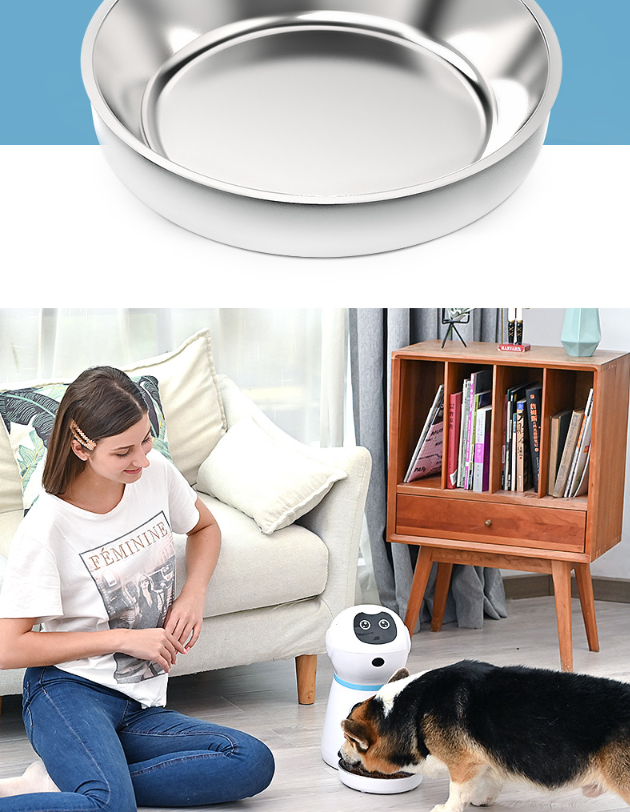 Automatic Pet Feeder With Voice Recorder