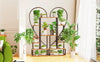 6 Tier Metal Plant Stand, Creative Half Heart Shape Ladder Plant Stands for Indoor Plants Multiple, Black Plant Shelf Rack