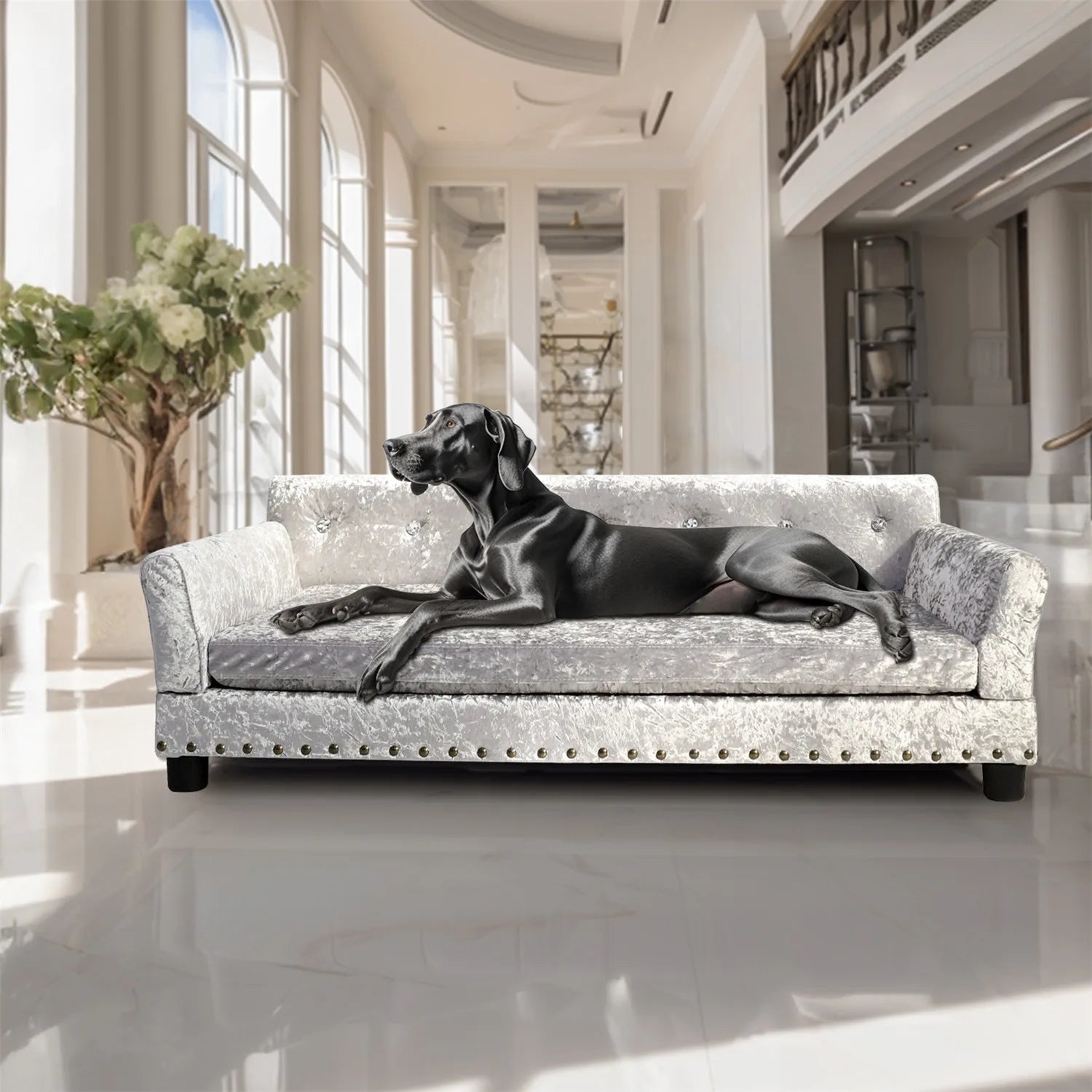 Large Dog Sofa Bed Deluxe Tufted Elevated Jumbo Dog Couch Bed Made Velvet - Pet Giant Snuggle Sofa Lounger Memory Foam