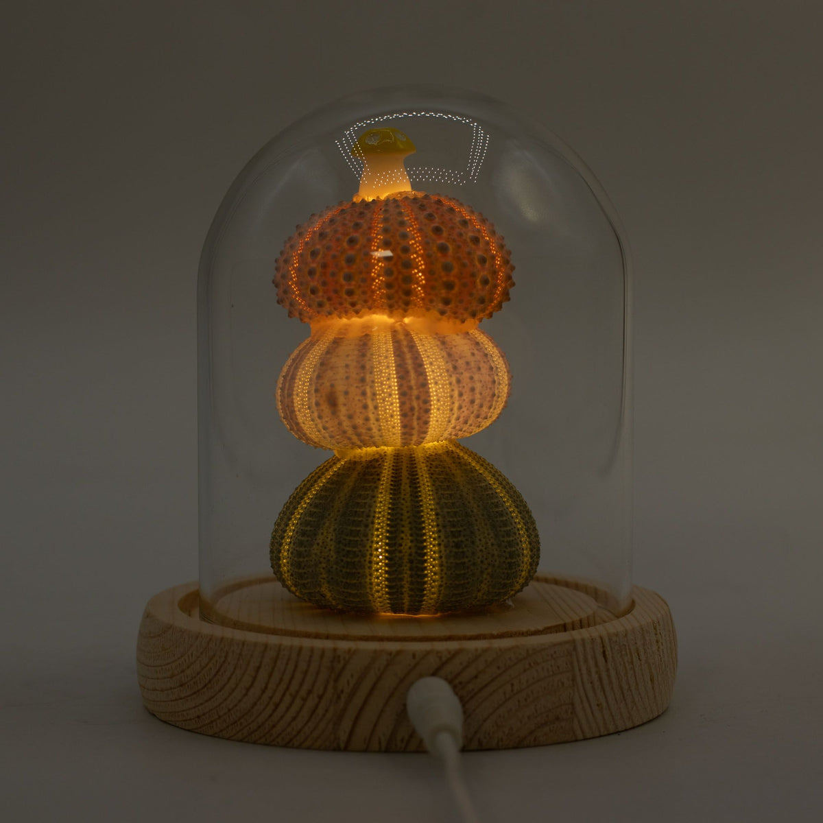 Floral Glow Garden Dome - 3 Sea Urchins - LED USB
